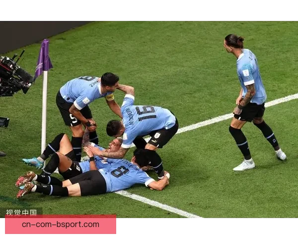 乌拉圭27岁后卫伊斯基耶多南美解放者杯突发心律失常去世